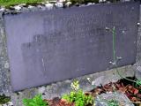 image of grave number 694763